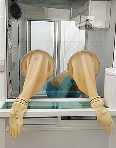 coronavirus testing gloves